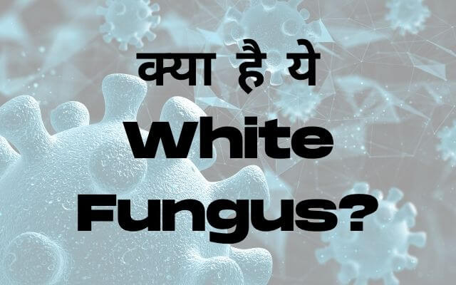 White Fungus in Hindi