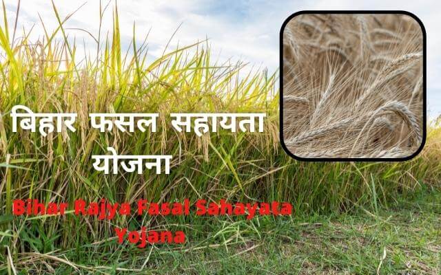 bihar rajya fasal sahayata yojana in hindi